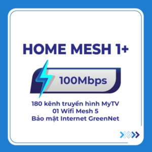 Home mesh 1 001