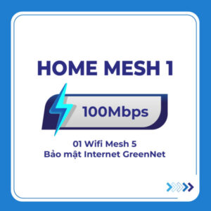 Home mesh 1010 1