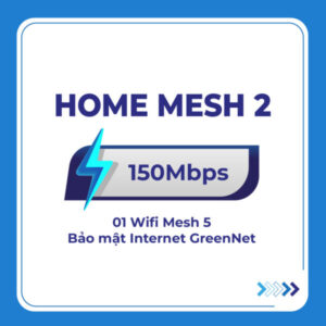 Home mesh 2 0001