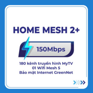 Home mesh 2 01