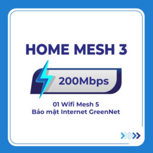 Home mesh 3