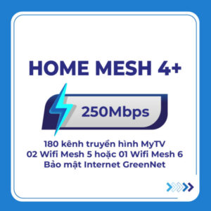 Home mesh 4 1 001