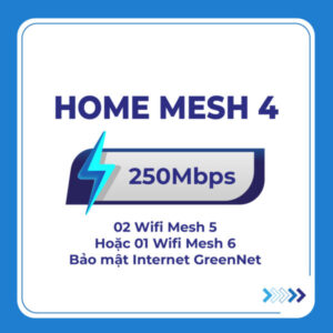 Home mesh 4 1101