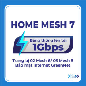 Home mesh 7 001