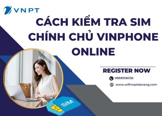 cach kiem tra sim chinh chu vinaphone online