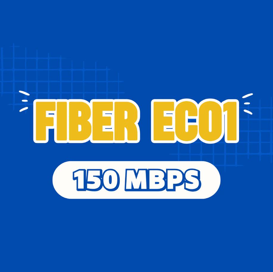 Fiber eco1