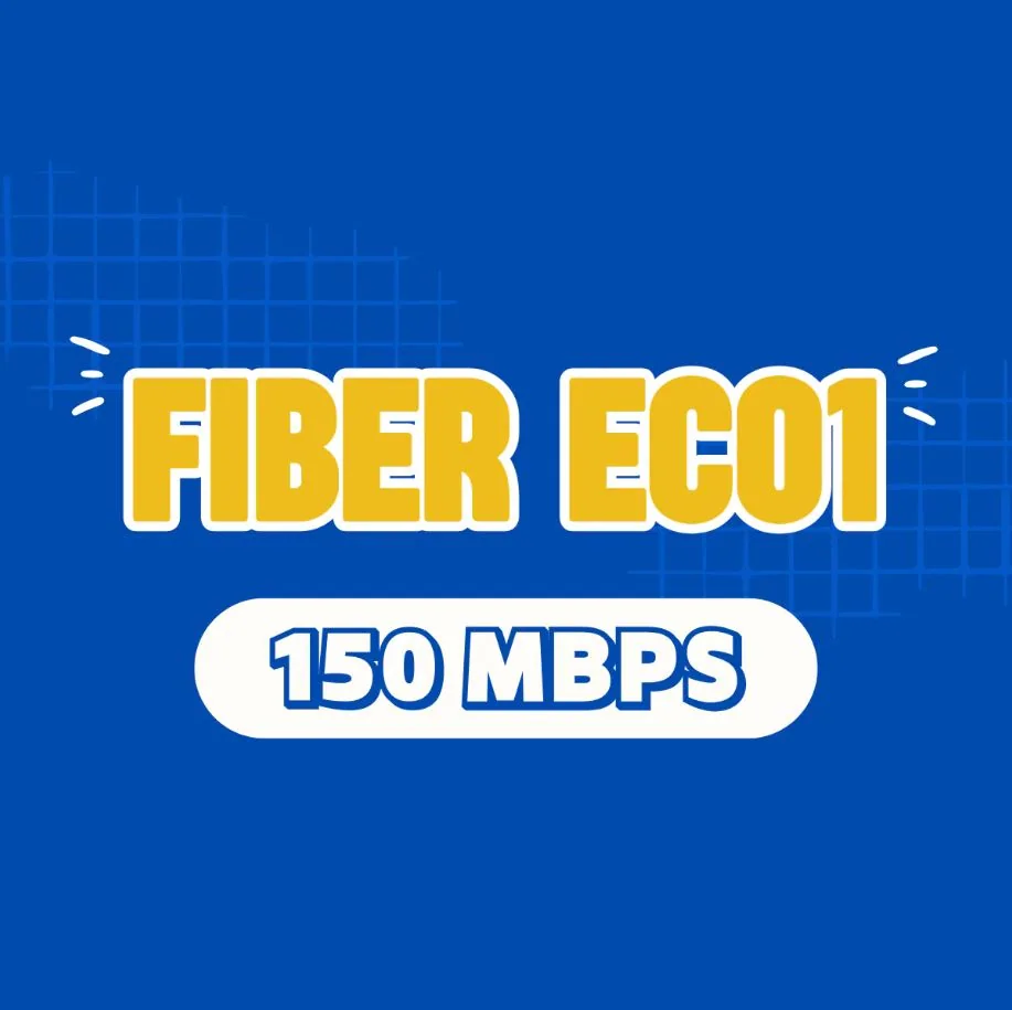 Fiber eco1