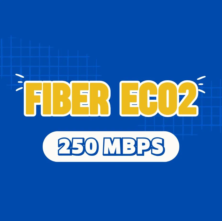 Fiber eco2