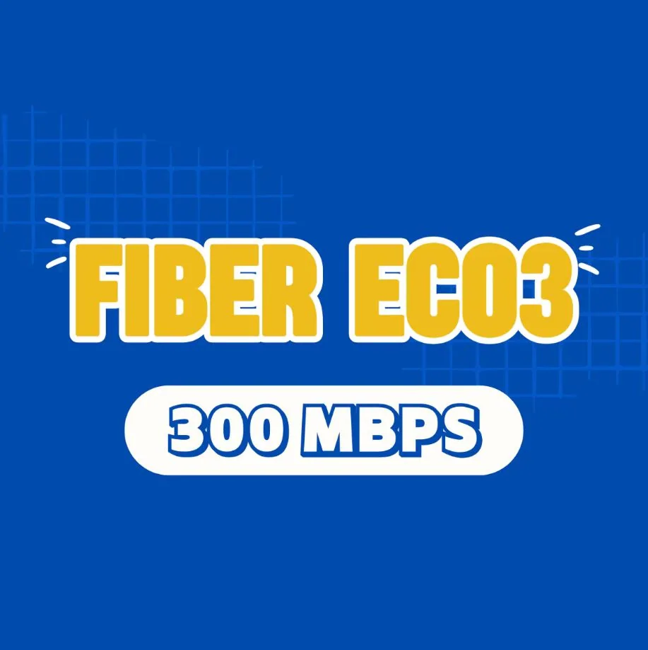 Fiber eco3