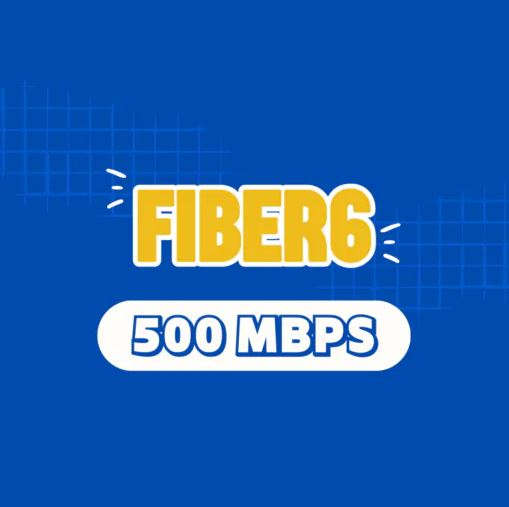 Fiber6